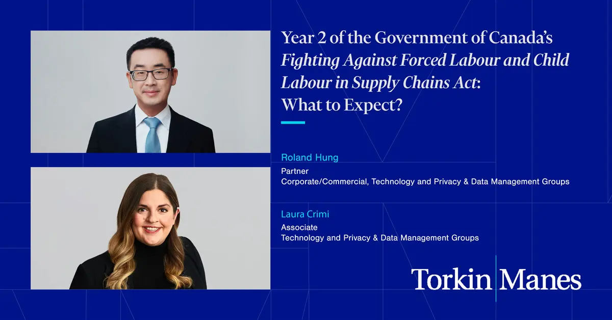 Year 2 of the Government of Canada’s Fighting Against Forced Labour and ...